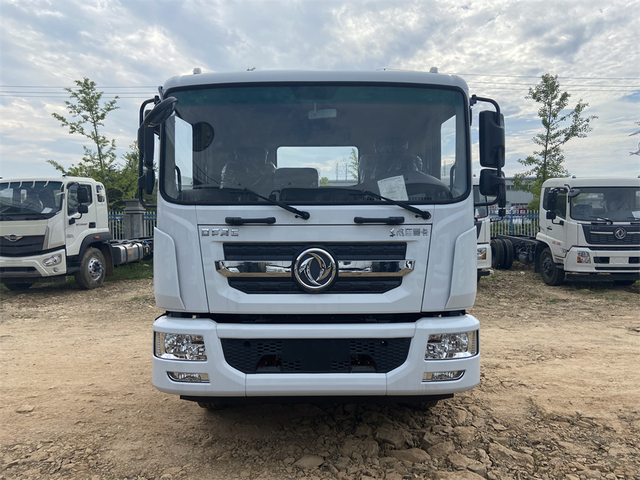 東風(fēng)D9（3950，康明斯230）國六 內(nèi)飾照片圖