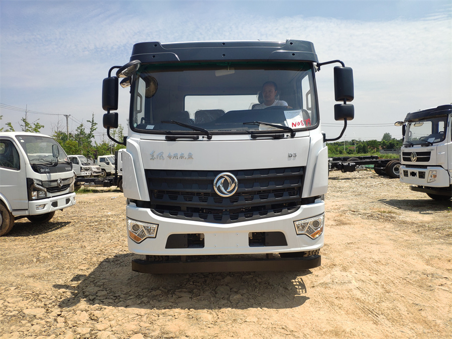 東風(fēng)D3（后雙橋，玉柴245）國六 內(nèi)飾照片圖