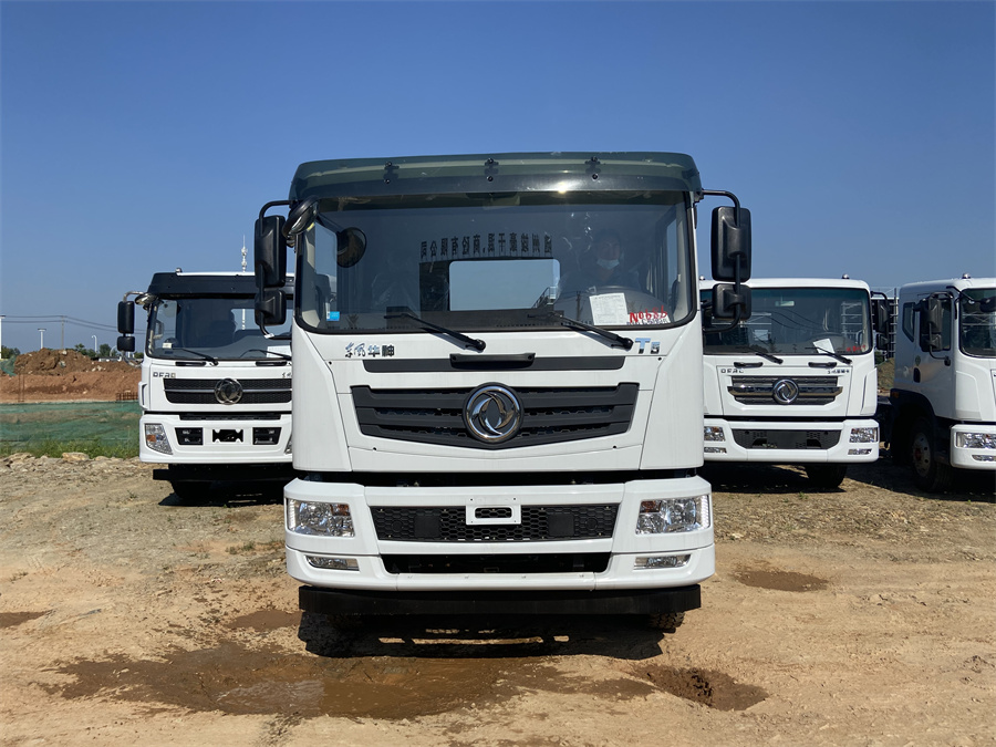 東風(fēng)T5（后雙橋，玉柴260）國六 內(nèi)飾照片圖